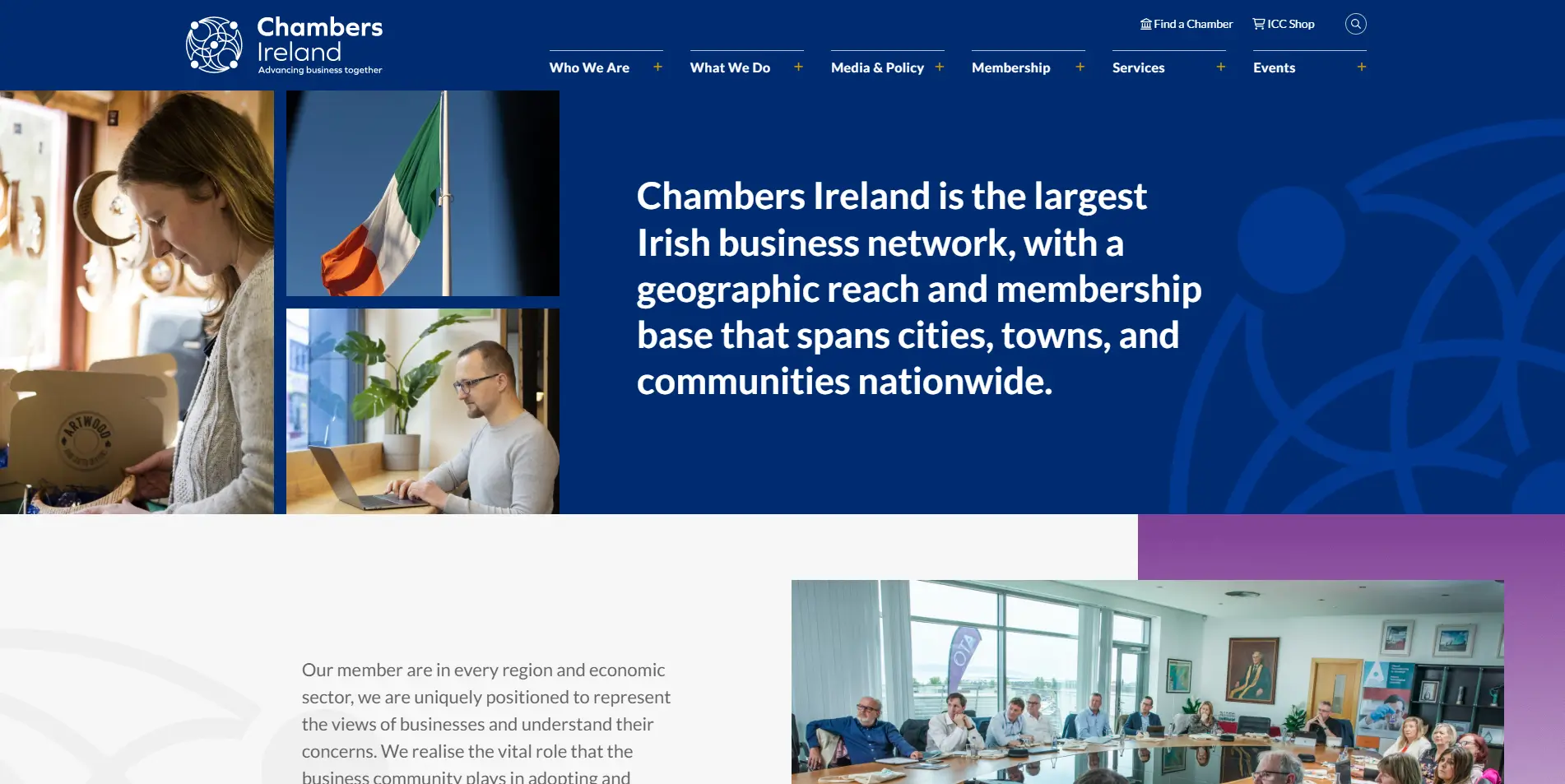 What-We-Do-Chambers-Ireland